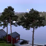Vy - House In *
