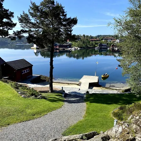 Vy - A Gem With Private In