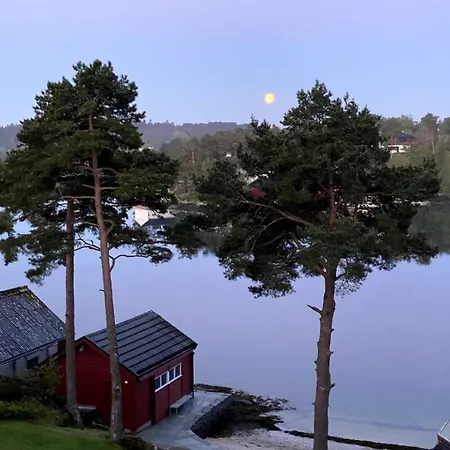 Vy - A Gem With Private In *