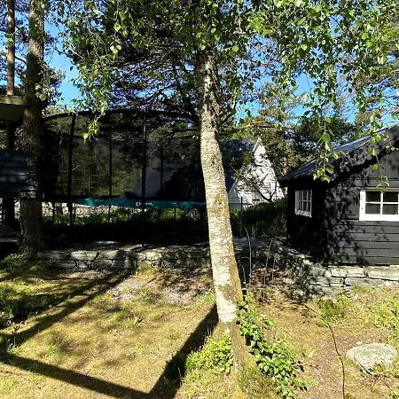 Vy - House In