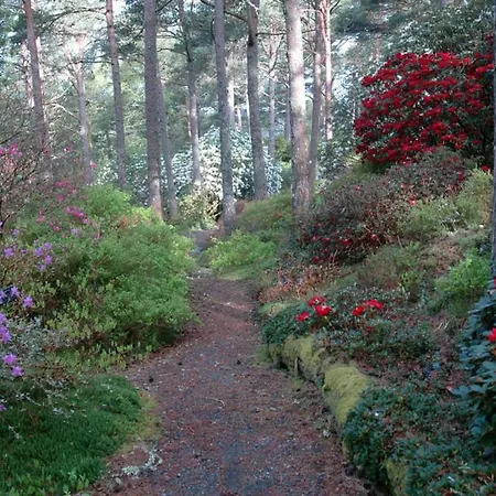 Vy - A Gem With Private In ヴィラ *