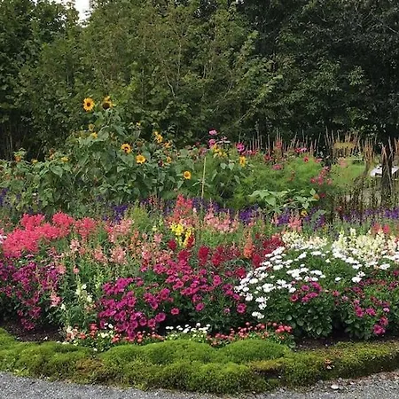 Vy - A Gem With Private In