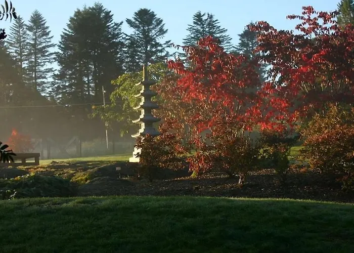 Vy - A Gem With Private In 别墅 *