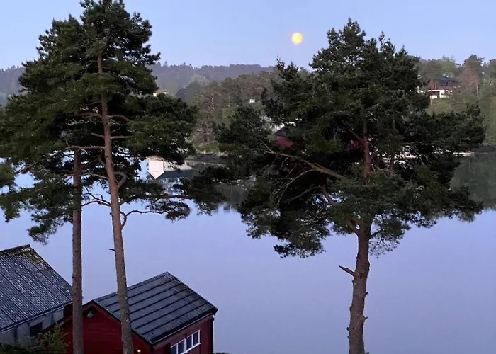 Vy - A Gem With Private In *