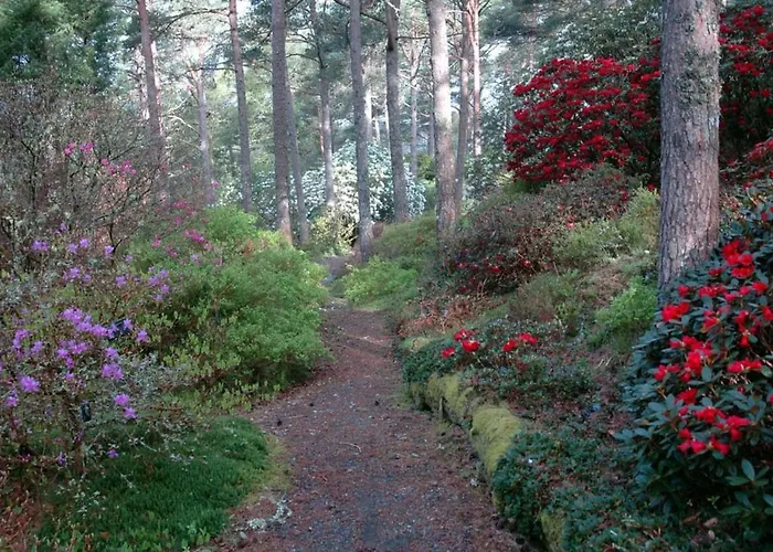 Vy - A Gem With Private In 别墅 *